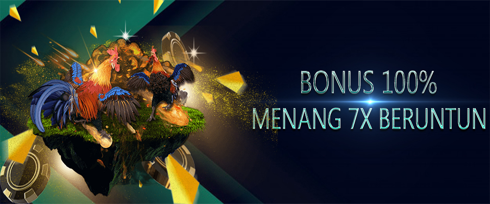 PROMO BONUS 100% WINSTREAK SABUNG AYAM ONLINE